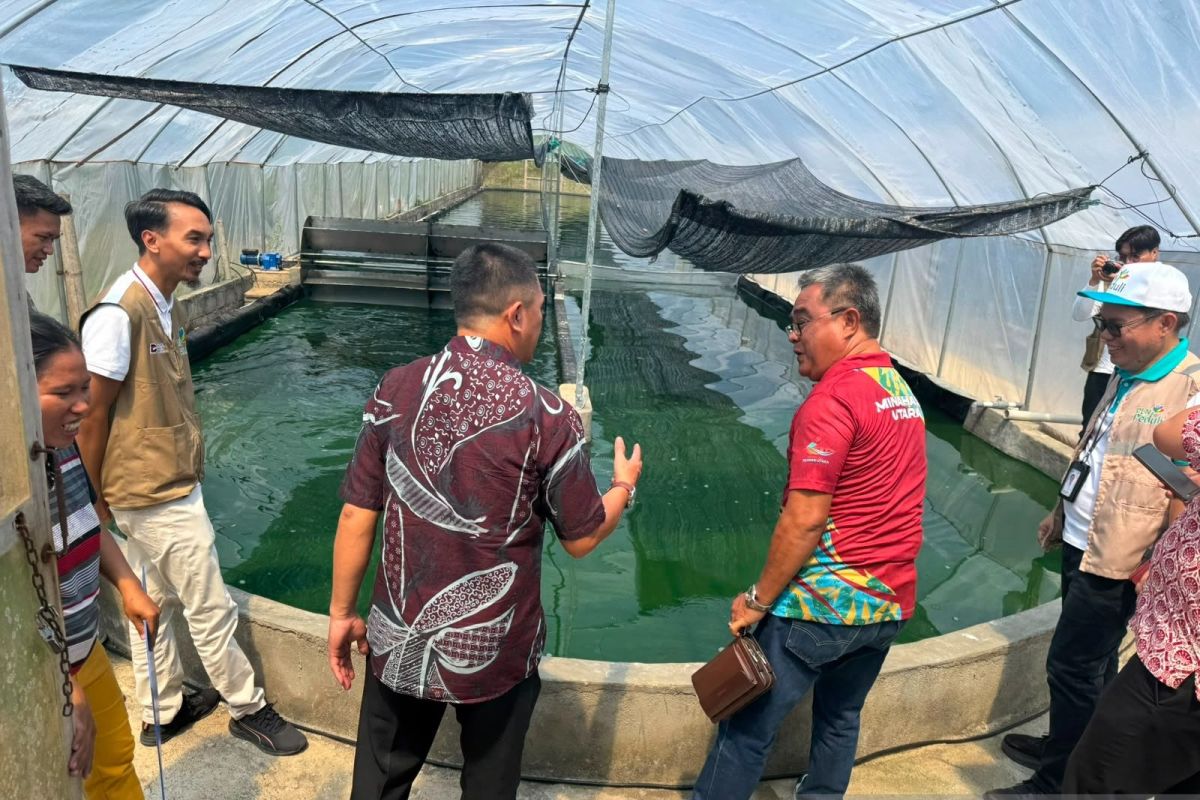 PLN Strengthens Local Food Security in North Sulawesi