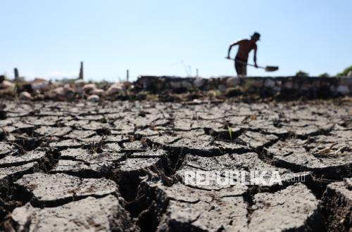 El Niño Strengthens, Aceh Besar Farmers Face Drought Threat