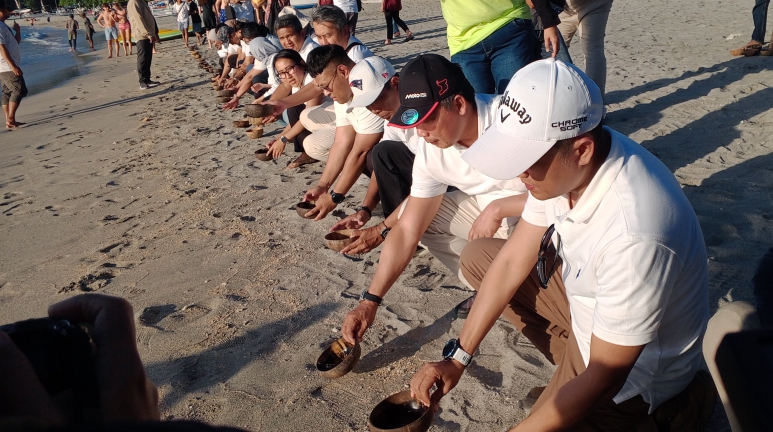 150 Hatchlings Released to Mark Handover of Boat to Turtle Conservation Community in Nipah