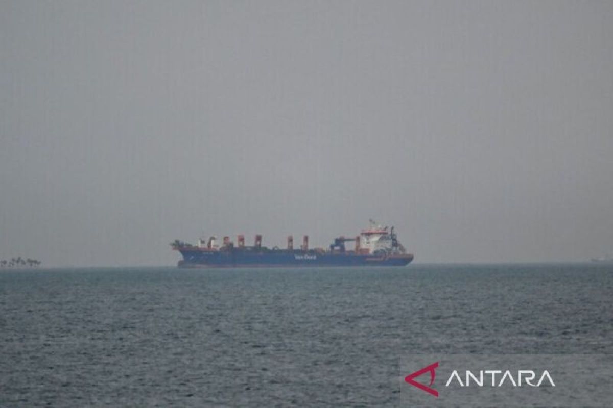 IMO Warns of Supply Chain Threats in the Red Sea