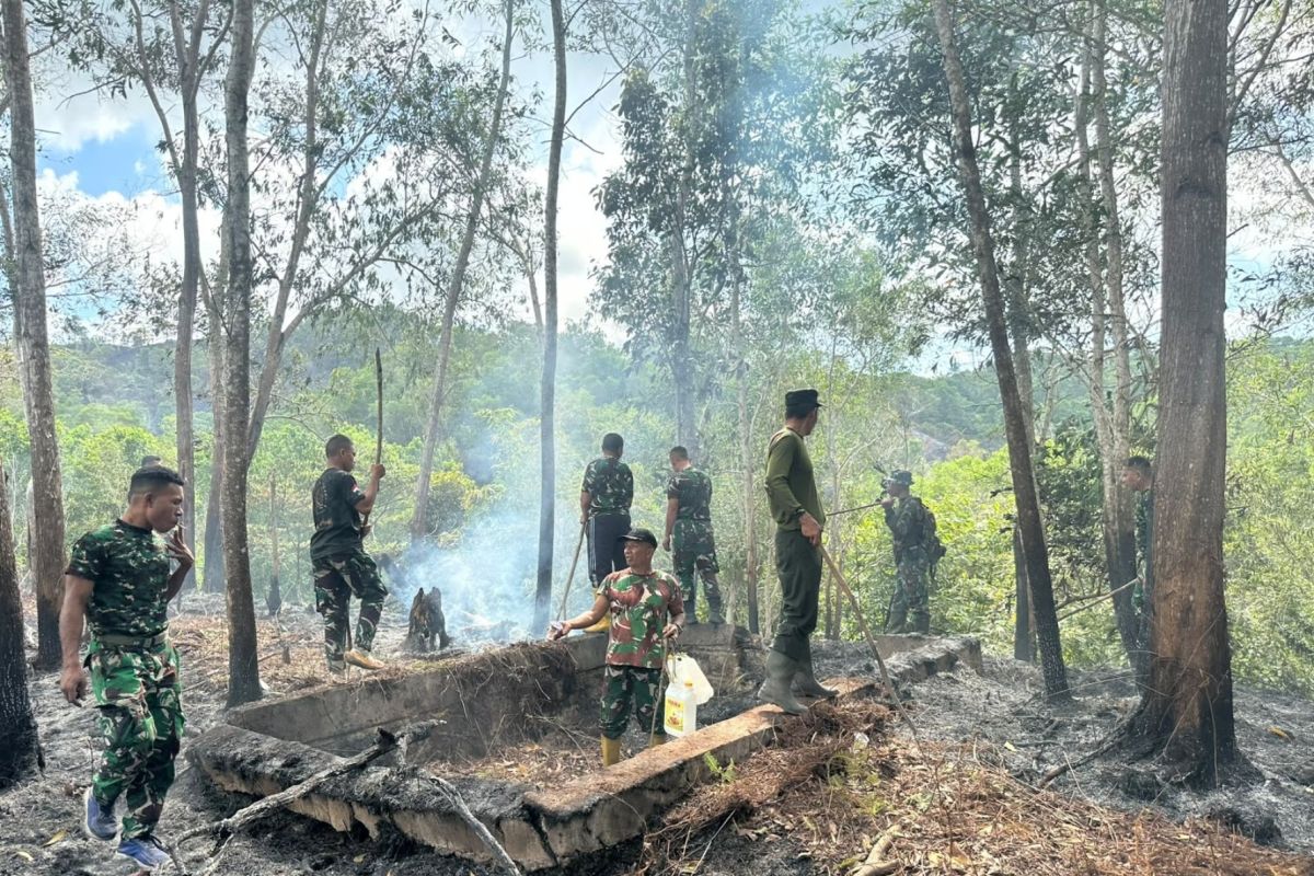 BNPB: Firefighting Efforts for Sorong Land Fires Still Underway
