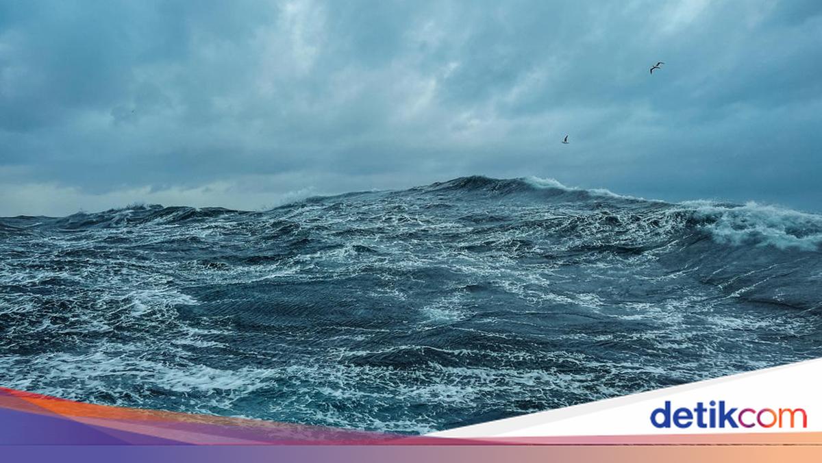 Pelni Passenger Missing After Jumping Overboard on Makassar-Labuan Bajo Route