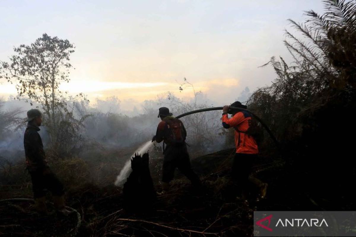 BNPB Confirms Forest Fire on Mount Karanglo in Ponorogo Extinguished