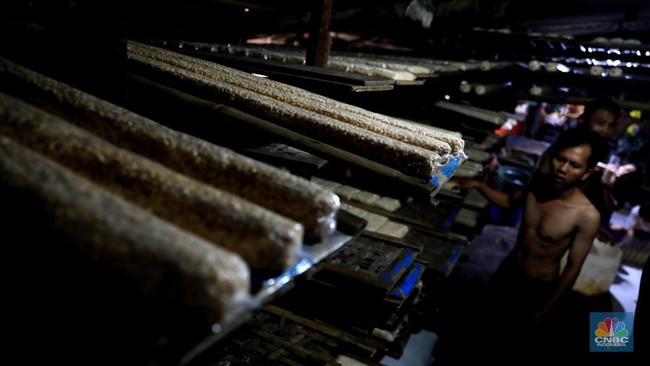 Tofu and Tempeh Makers Reap Windfall from Free Nutritious Meal Programme