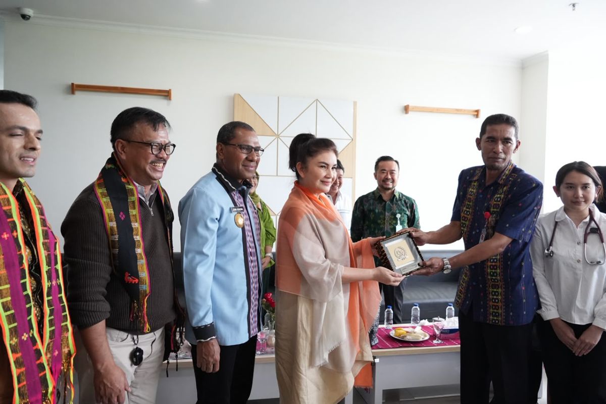 NTT Vice Governor and House Commission IX Push for Accelerated Cath Lab Services at Komodo Regional Hospital