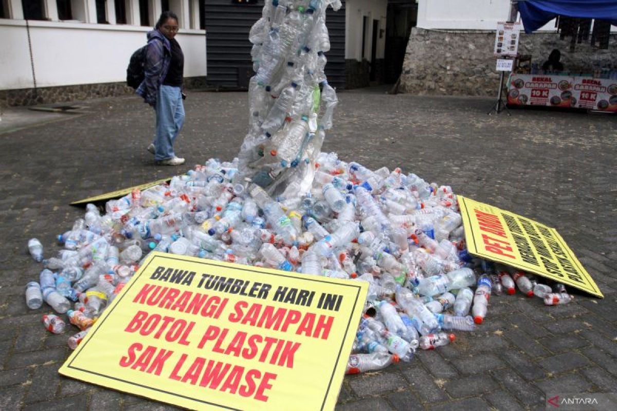 Lessons from the History of Plastic Creation