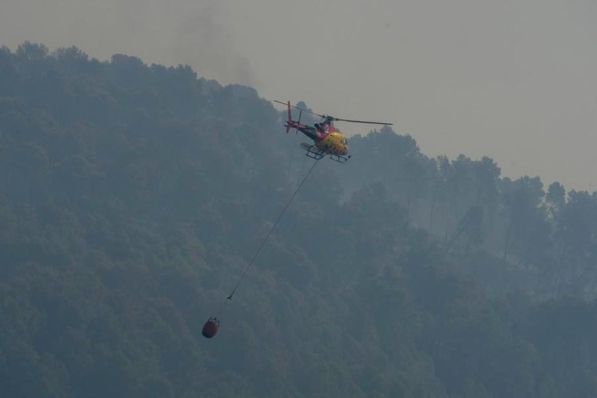 Extreme heat grips Europe, triggering wildfires and shrinking rivers
