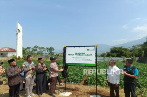 Madaya Food Gardens Programme Activates Land to Boost Food Security