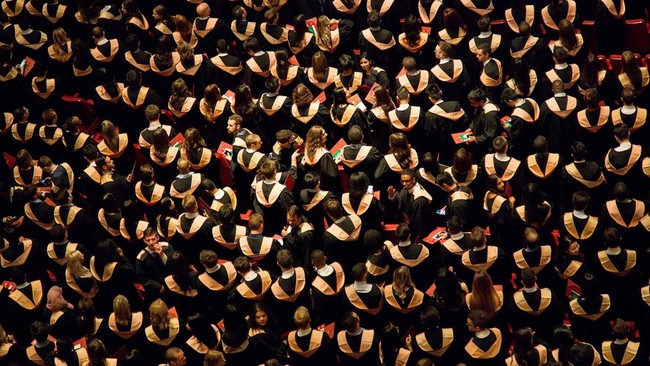 10 University Degrees Most Regretted by Graduates After Entering the Workforce