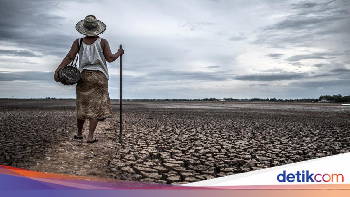 94,000 Bogor Residents Affected by Drought, Facing Clean Water Crisis