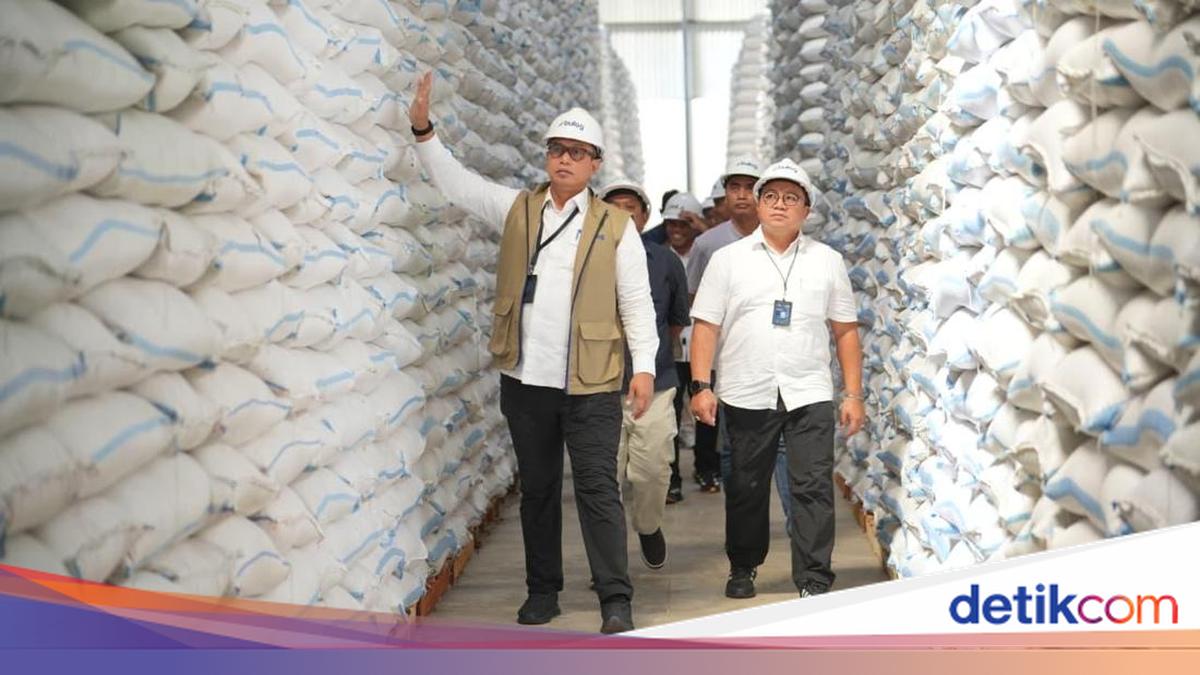 BULOG Procures 3.5 Million Tonnes of Rice Equivalent, Nears National Target