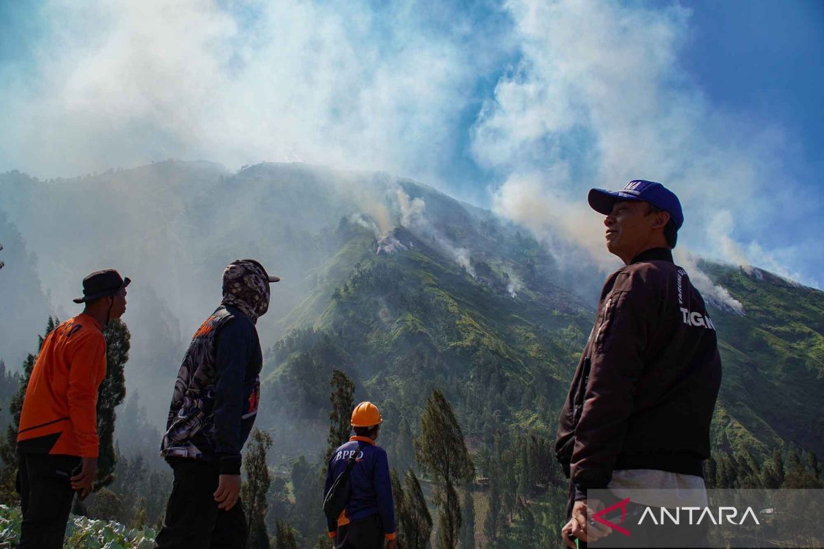 Forest Fire Erupts on Route to Bromo, Crews Battle to Protect Settlements