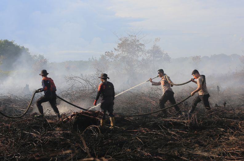 BPBD Aceh Barat Intensifies Forest and Land Fire Suppression Across Four Subdistricts