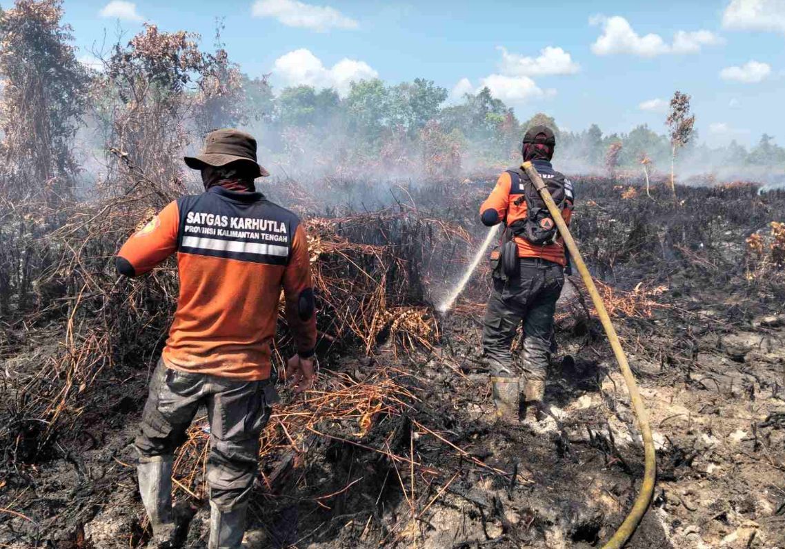 East Kalimantan BPBD Tightens Forest Fire Prevention Using Satellites and Public Reports
