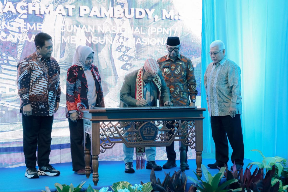Indonesia launches National Cassava Center to boost productivity