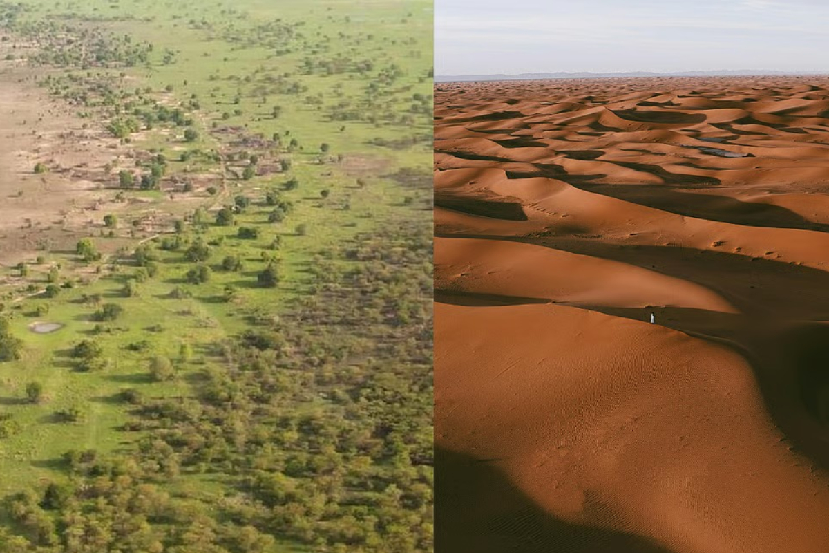 Revealed: The Sahara Desert Was Once Filled with Forests, Rivers, and Lakes