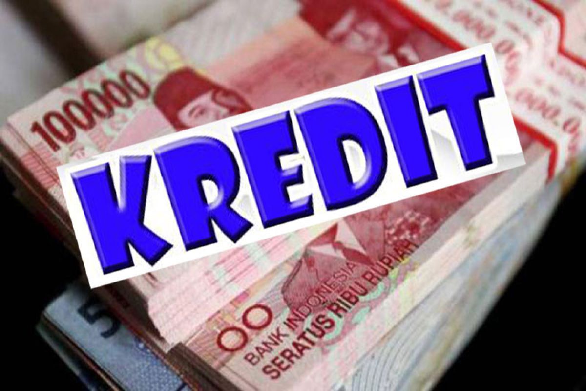 Expert Urges AFPI and OJK to Overhaul Third-Party Debt Collection Licensing
