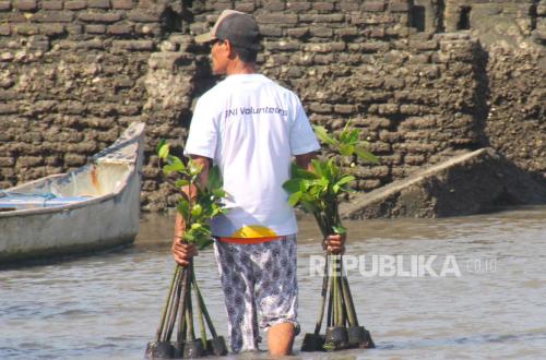 World Mangrove Day: BNI Strengthens Commitment to Environmental Conservation and Coastal Economy