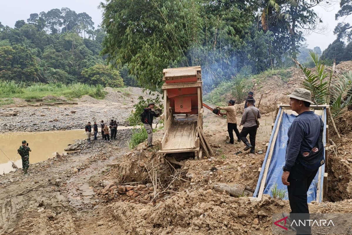 Forestry Ministry: Law enforcement strengthens forest protection