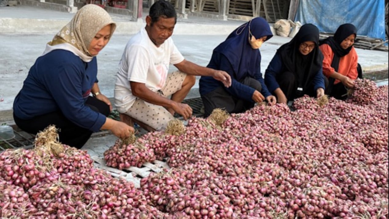 Onion Prices Fall as Rice, Eggs, and Chicken Rise: Check the Full List