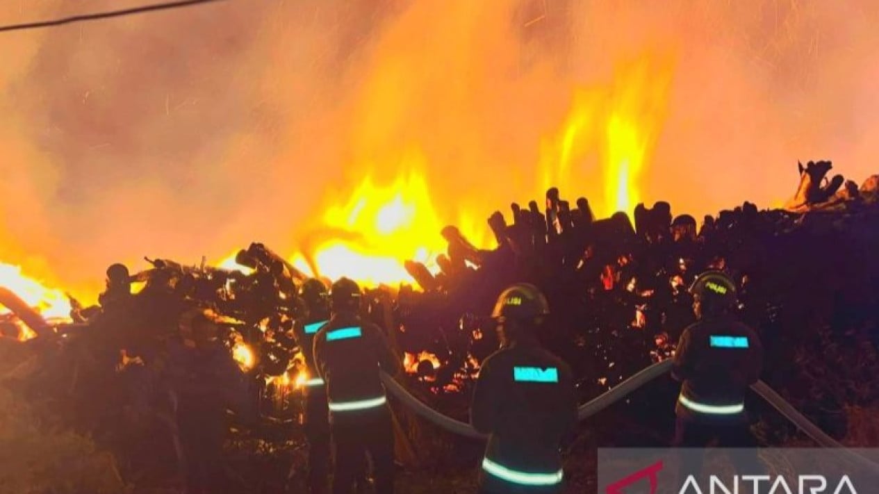 Discarded Cigarette Butt Suspected as Cause of Major Fire at Gorontalo Wood Processing Company