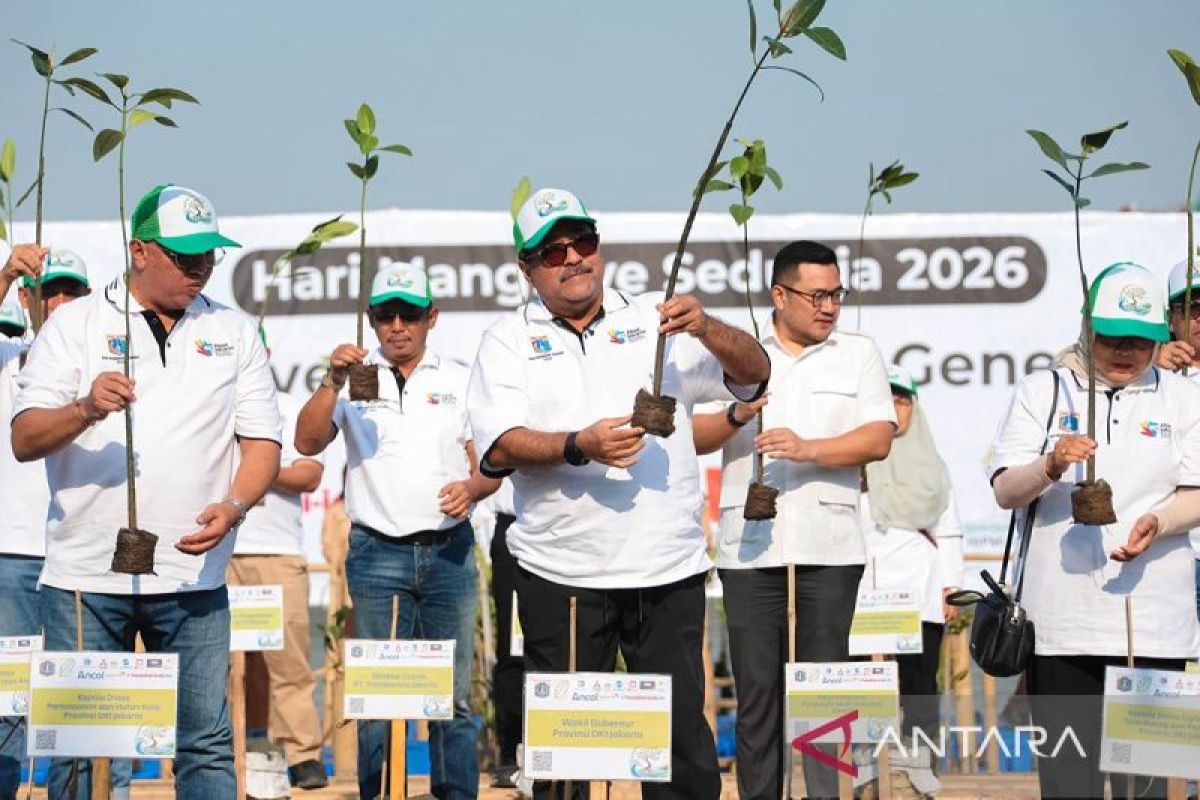 Jakarta Plants 21,000 Mangrove Seedlings to Commemorate World Mangrove Day