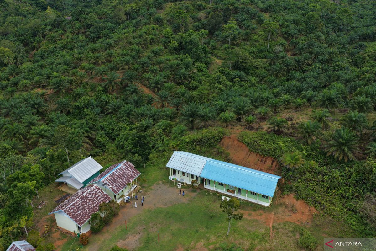Border School: A Beacon of Hope for Children on Indonesia's Frontier