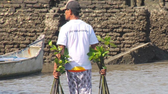 BNI Strengthens Commitment to Mangrove Conservation and Coastal Economy