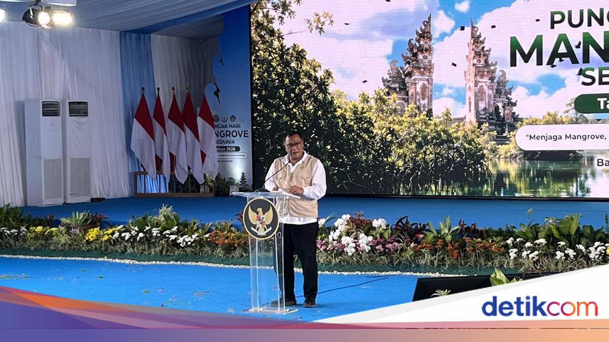 Minister Jumhur Says Giant Investors Approach Him to Plant Thousands of Mangroves