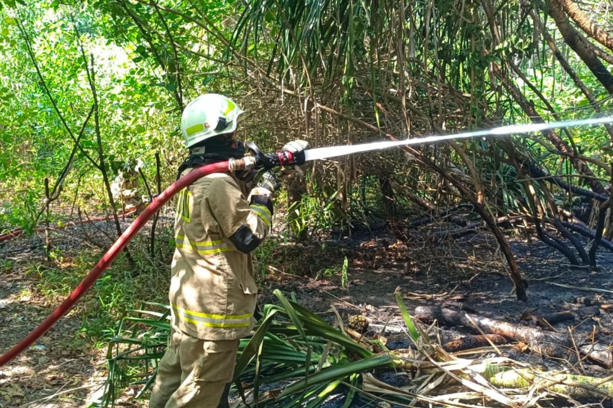 Discarded cigarette butt triggers land fire on Tidung Island