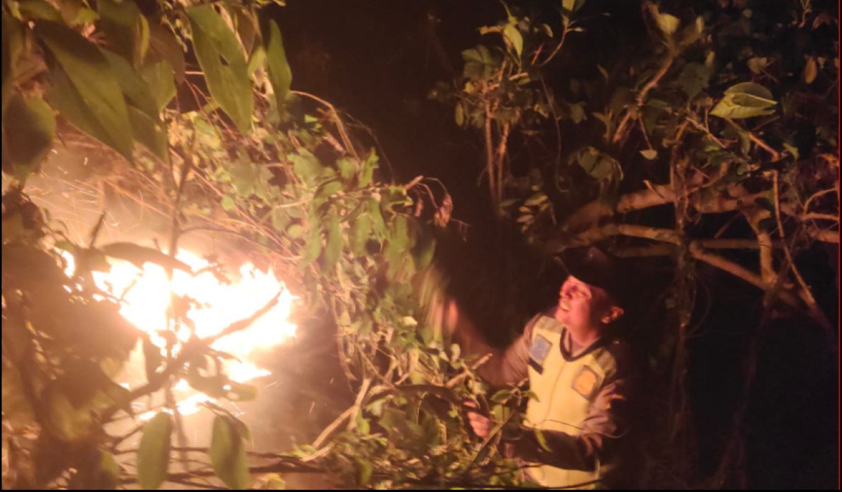 Pine Forest Fire in Kebumen Extinguished After 10-Hour Battle
