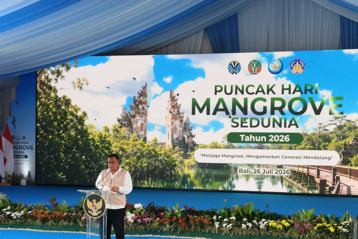 Mangrove rehabilitation to drive green economic growth: minister