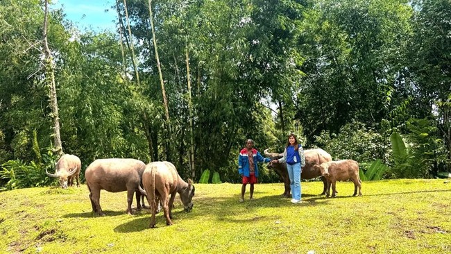 BRI's Mantri Brings Banking Access to the Mountains of North Toraja