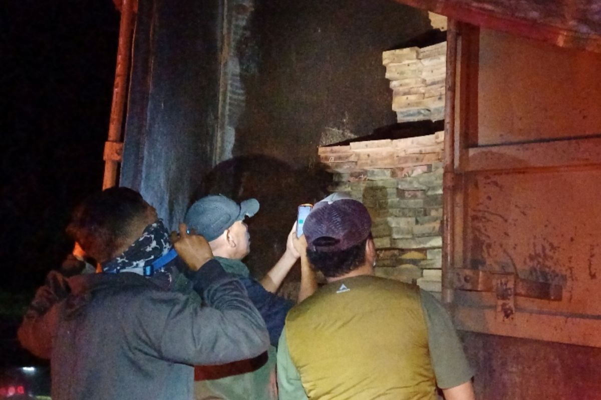 Forestry Ministry arrests suspect transporting 598 illegal logs in North Sumatra