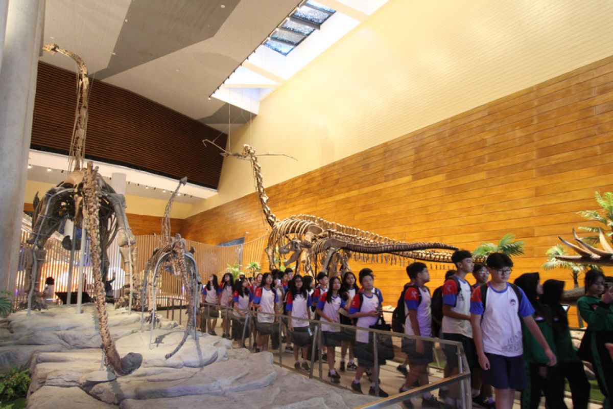 Dinosaur Fossils Deepen Scientific Exchange Between China and Indonesia