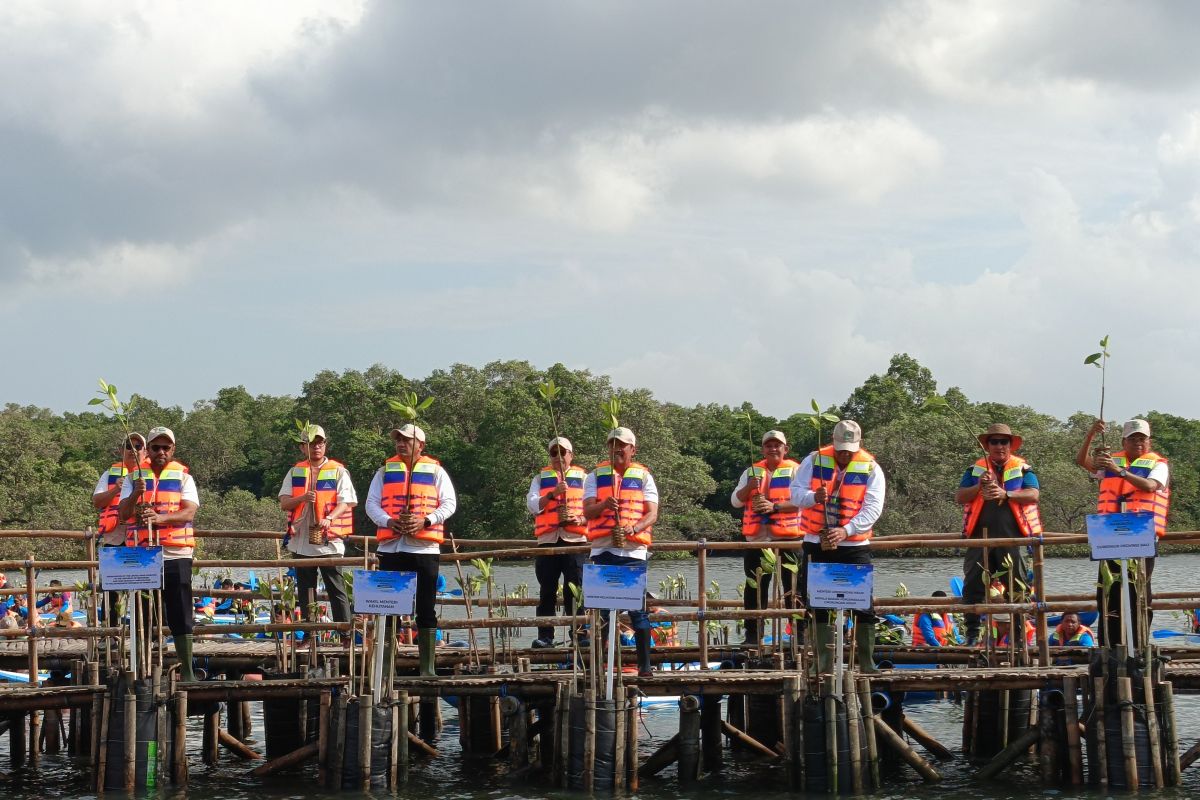 Minister calls for mangrove rehabilitation to support food security