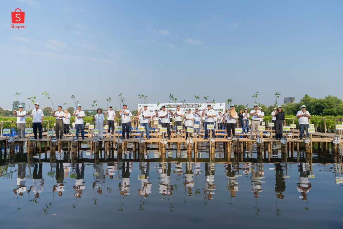 Shopee plants two thousand mangrove seedlings in North Jakarta