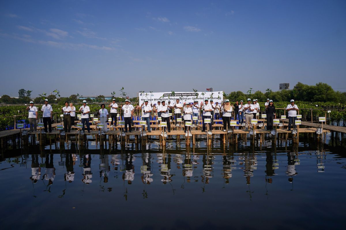 Jakarta Government Plants 54,038 Mangrove Seedlings to Fortify Coastal Areas