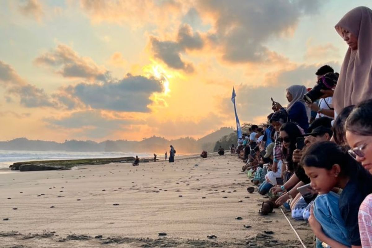 Pertamina Patra Niaga Conserves Turtles in Malang Regency