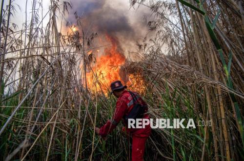 Firefighters Battle to Extinguish Land Fire in Ogan Ilir
