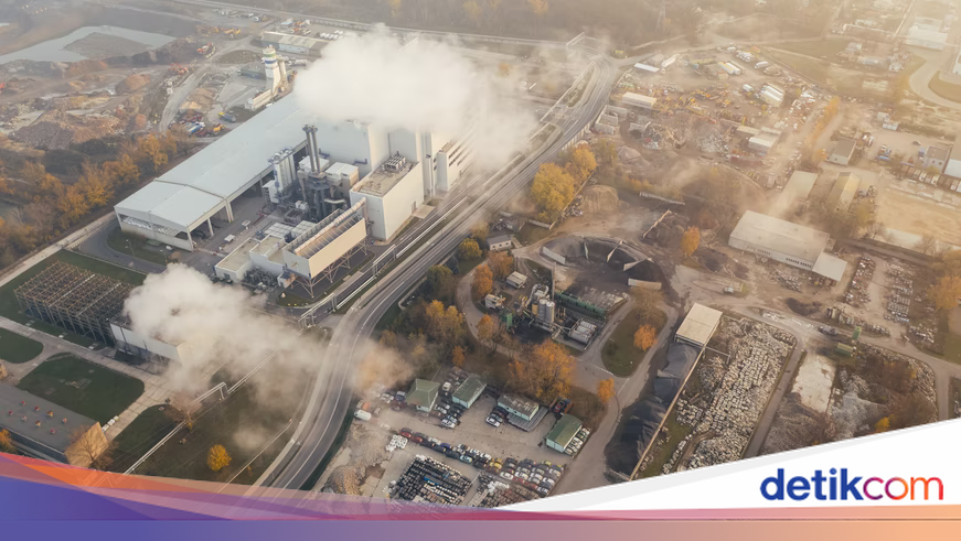 Indonesia's Carbon Market: Rp 200 Million Investment Promises Rp 1.5 Billion — But a Price Gap Looms