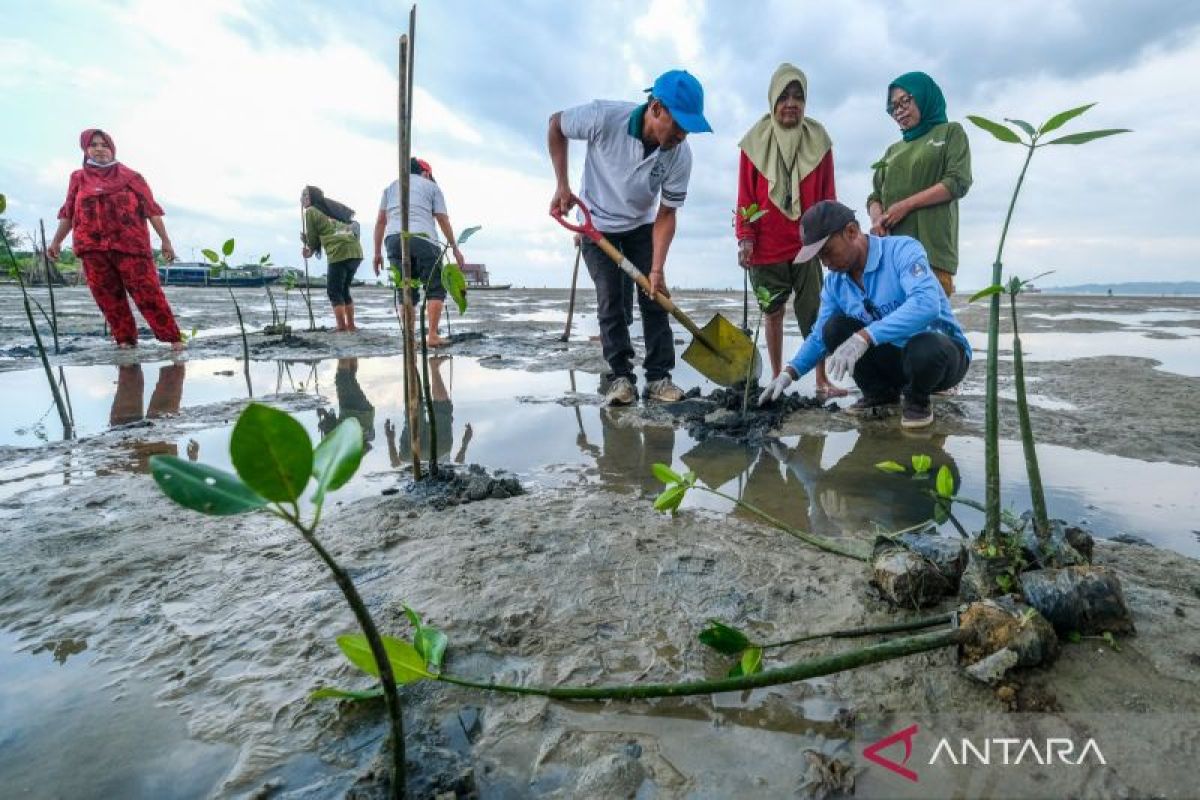 Yesterday: World Mangrove Day to earthquake in Kupang