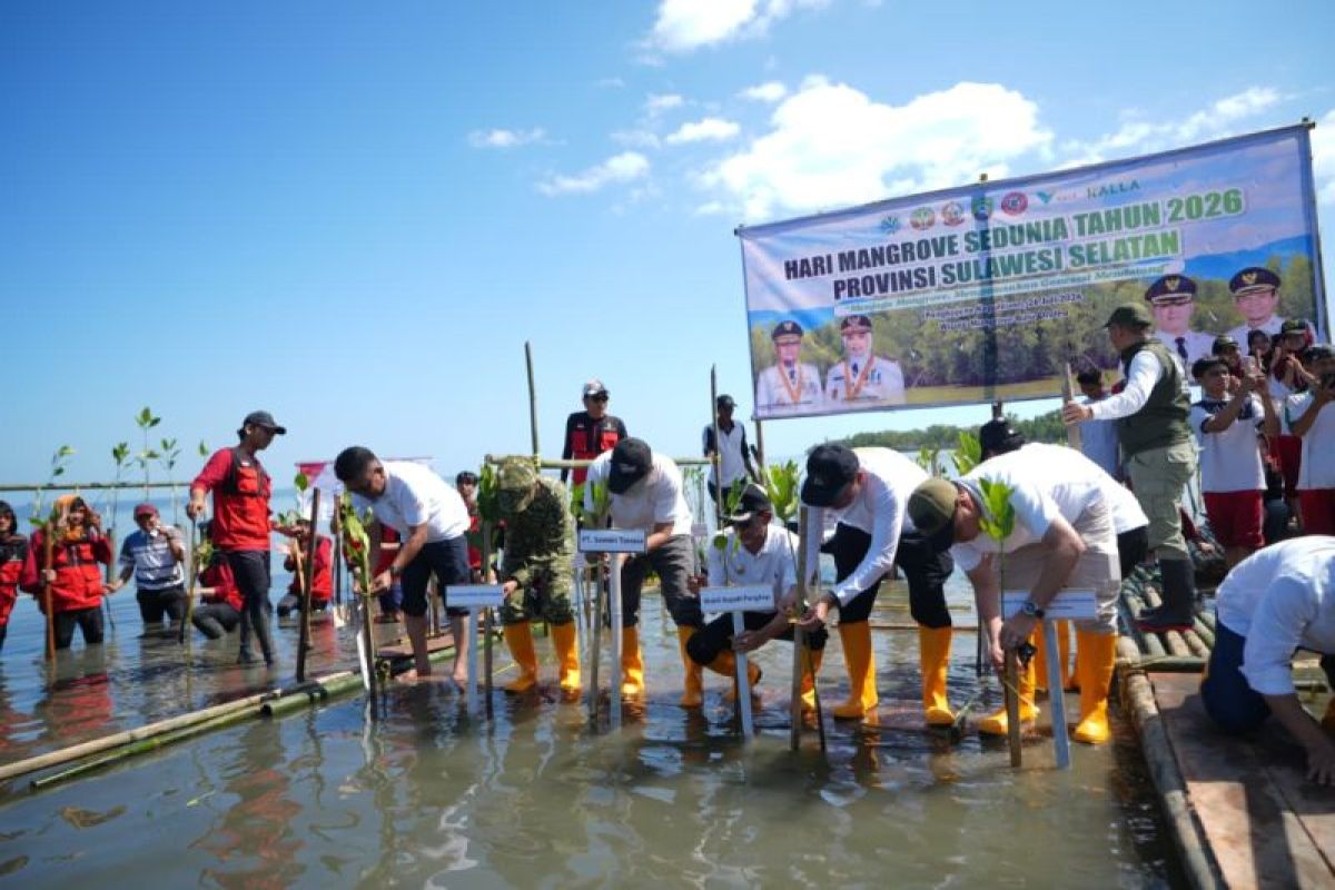 South Sulawesi Government Strengthens Collaboration to Preserve Mangrove Ecosystem