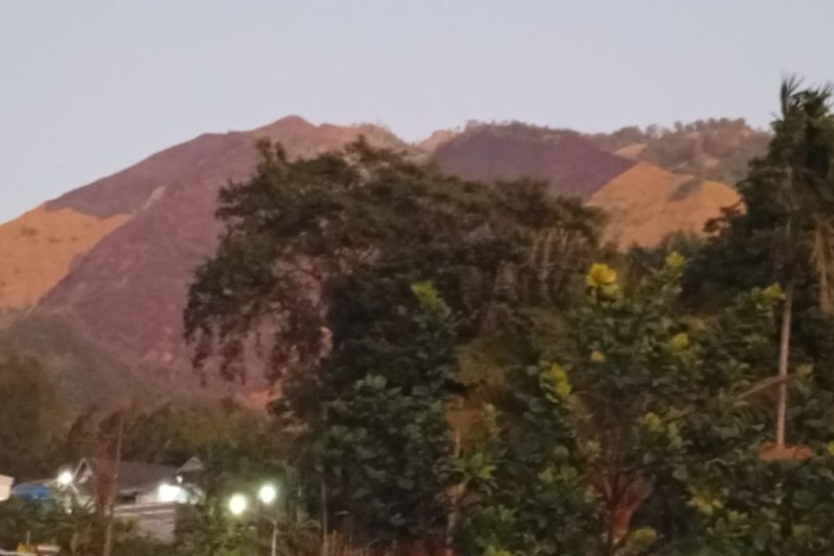 BPBD Probolinggo: Gunung Ringgit forest fire covers 4.5 hectares