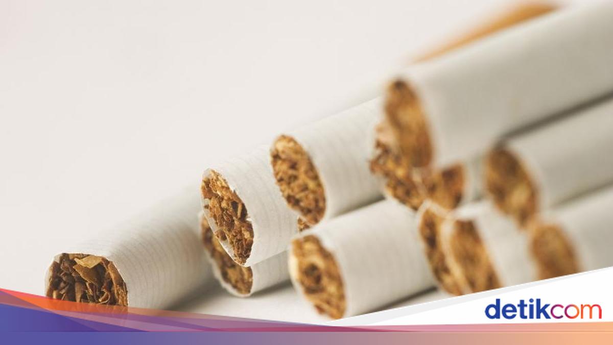 Agriculture Ministry Says Reducing Nicotine in Local Tobacco Could Take Over 30 Years of Research
