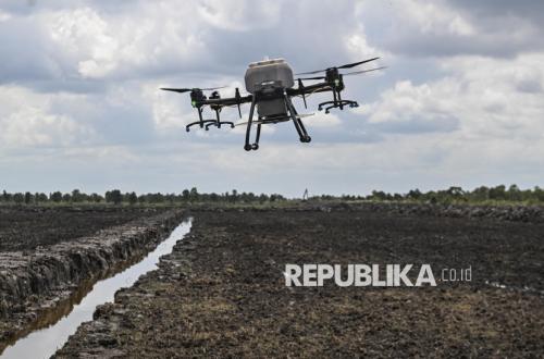 Rice Self-Sufficiency Is Not the Same as Food Self-Sufficiency