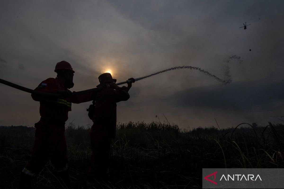 BNPB: Forest and Land Fires, Strong Winds in Situbondo Resolved