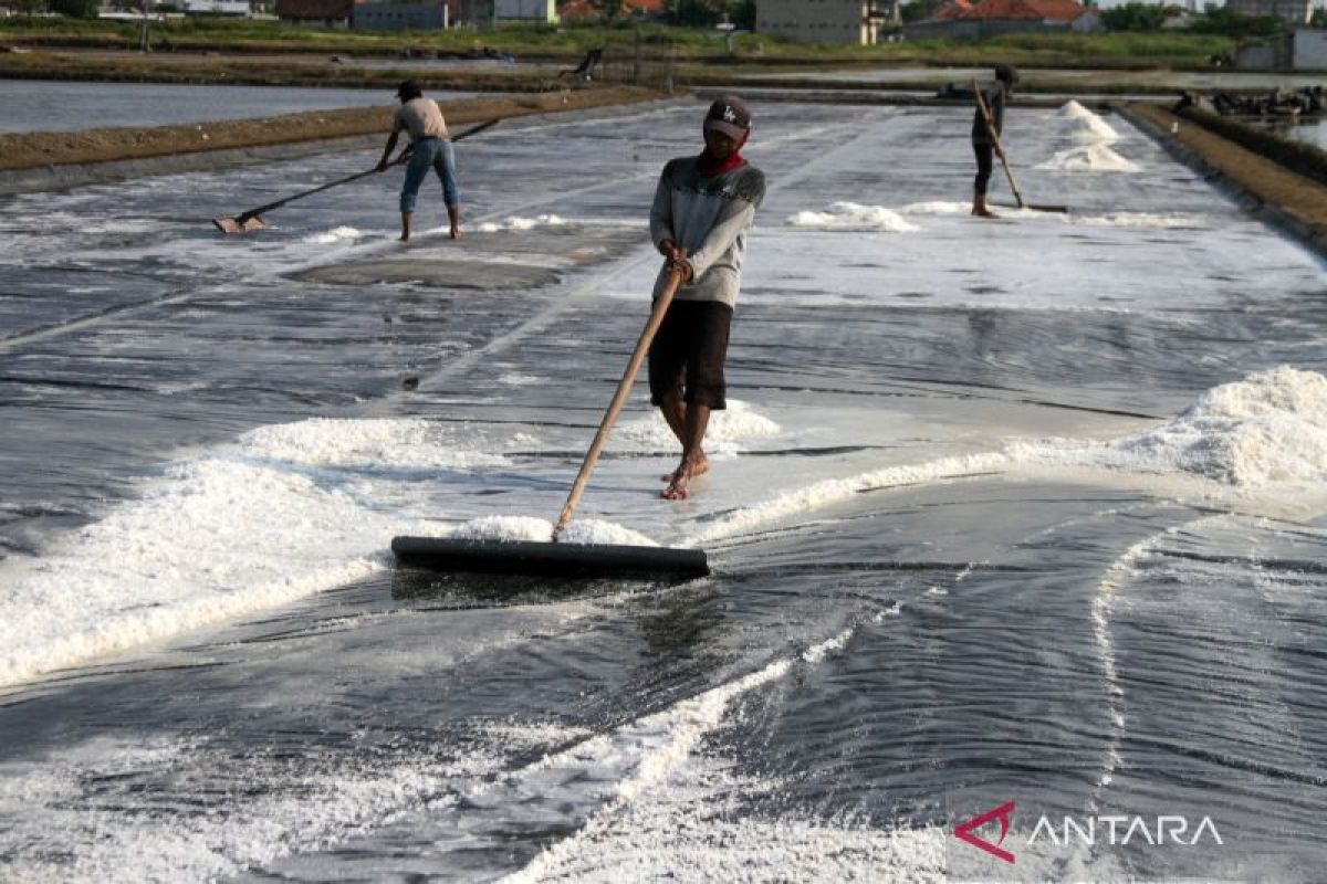 Downstream Processing of National Industrial Salt Purification