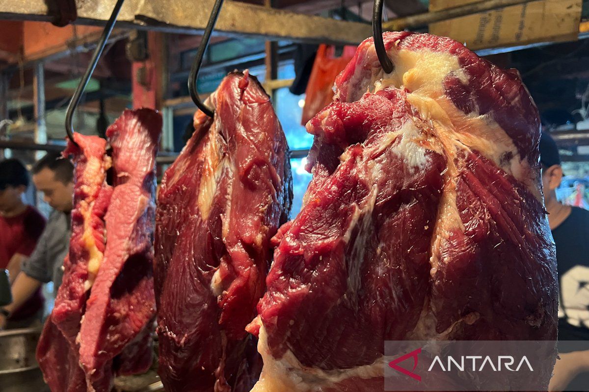 Bapanas Strengthens Beef Price Stabilisation with State and Regional Enterprises