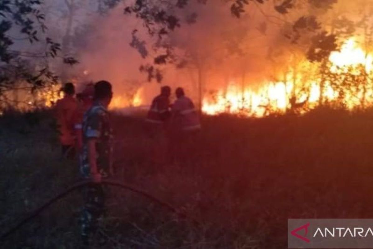 BNPB: Water tanker trucks assist in extinguishing land fires in Central Bangka